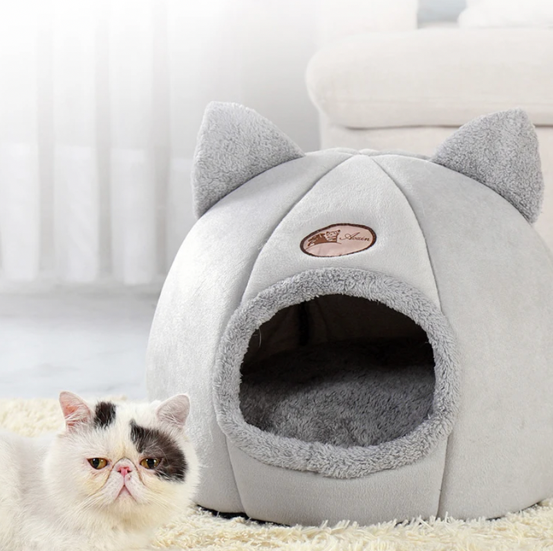 Cama confortável para gatos